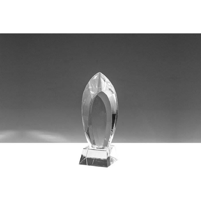 HC-1 Kristal Ödül - Makro Matbaa plaket